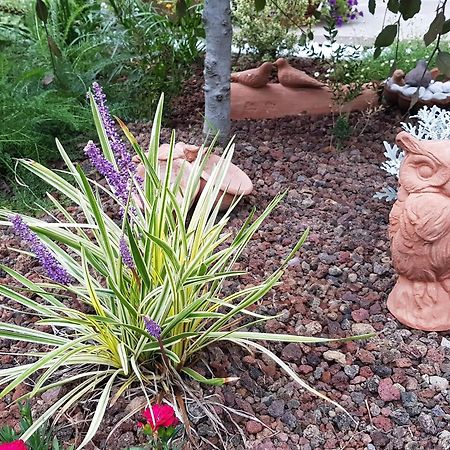 Вилла Nel Giardino Di Dafne Стреза Экстерьер фото